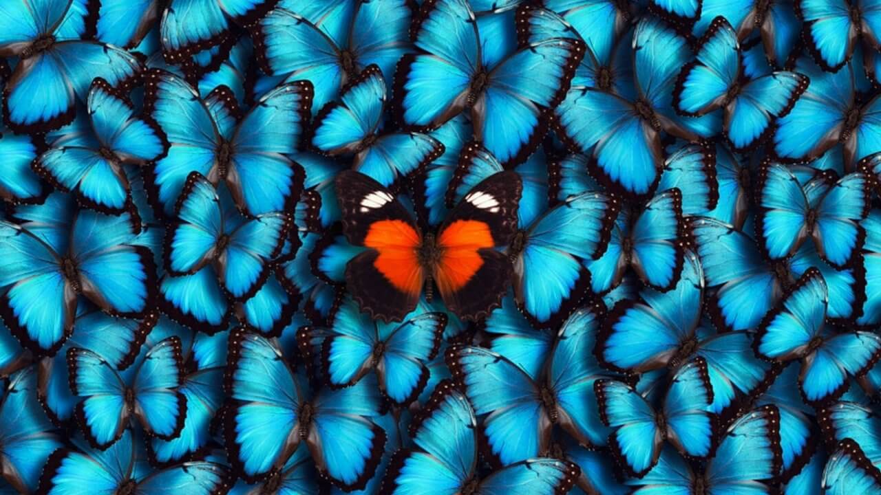 Uyan Mısın Uygulayan Mı?